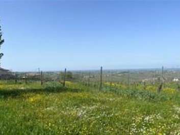 casa indipendente in vendita a Ziano Piacentino in zona Vicobarone