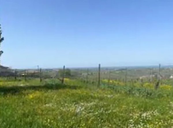 terreno agricolo in vendita a Ziano Piacentino in zona Vicobarone