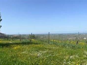 casa indipendente in vendita a Ziano Piacentino in zona Vicobarone