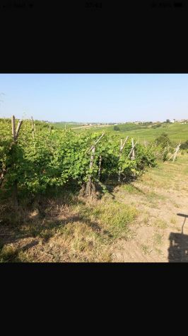 terreno agricolo in vendita a Ziano Piacentino