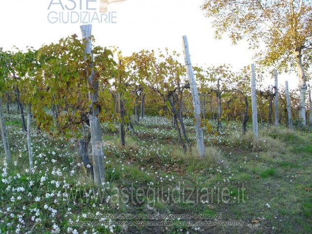 negozio in vendita a Ziano Piacentino