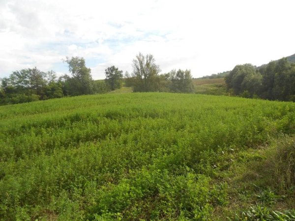 casa indipendente in vendita a Ziano Piacentino