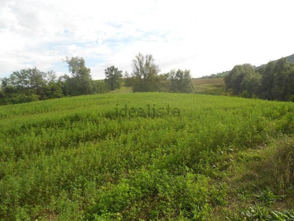 casa indipendente in vendita a Ziano Piacentino