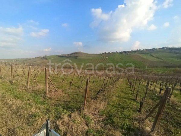 terreno agricolo in vendita a Ziano Piacentino