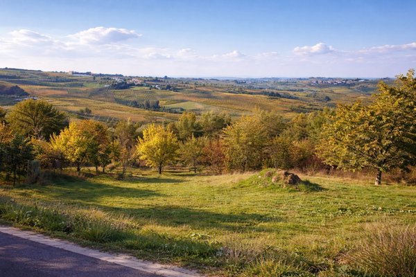 casa indipendente in vendita a Ziano Piacentino in zona Vicobarone