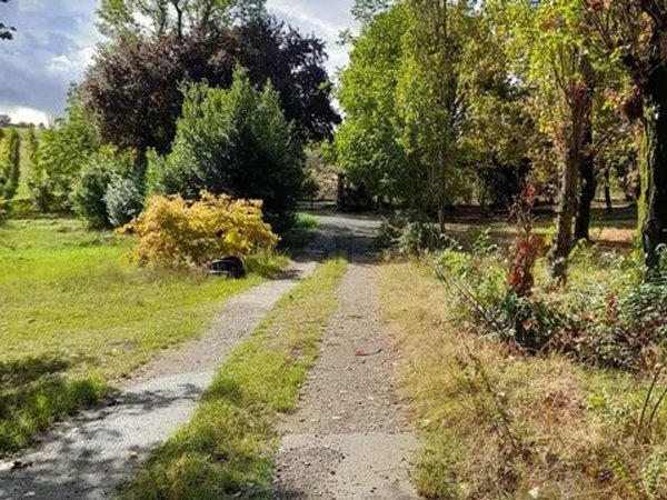 casa indipendente in vendita a Ziano Piacentino in zona Albareto