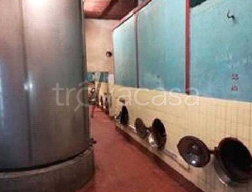 azienda agricola in vendita a Ziano Piacentino