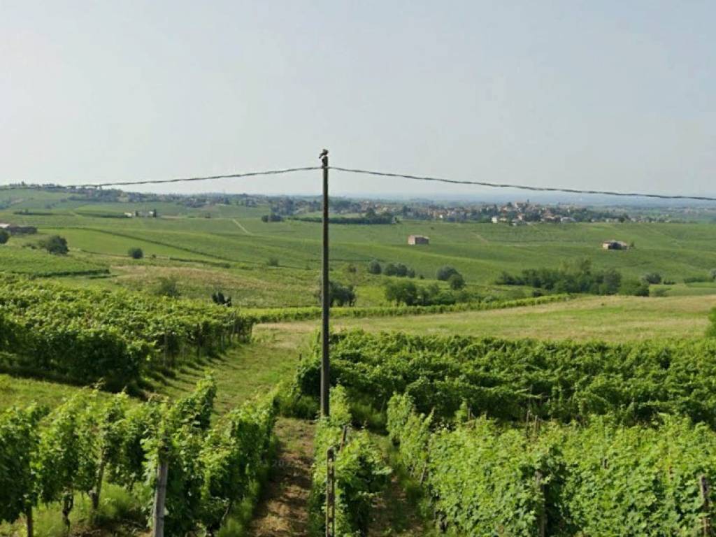 terreno agricolo in vendita a Ziano Piacentino in zona Albareto