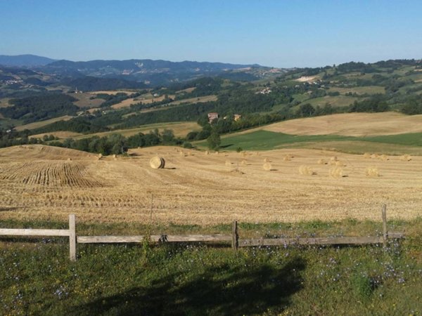 negozio in vendita ad Alta Val Tidone in zona Nibbiano