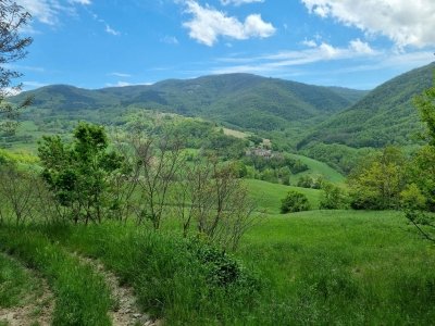appartamento in vendita ad Alta Val Tidone in zona Pecorara