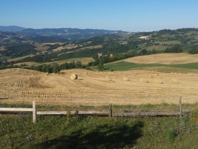 azienda agricola in vendita ad Alta Val Tidone