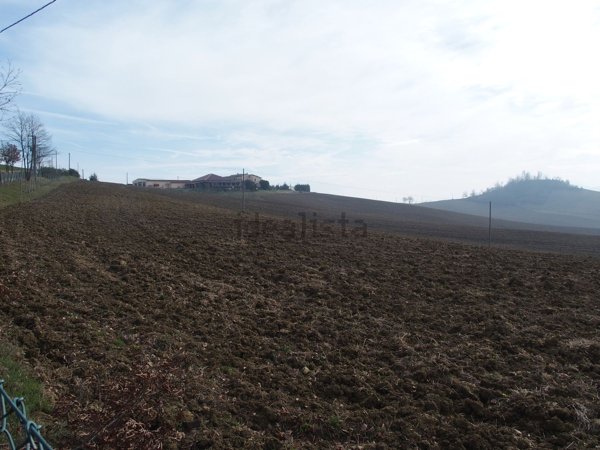 immagine annuncio 0 di 1