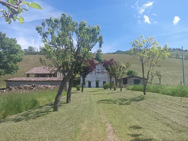 casa indipendente in vendita ad Alta Val Tidone in zona Nibbiano