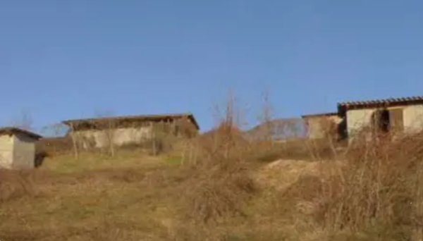 terreno agricolo in vendita ad Alta Val Tidone in zona Caminata