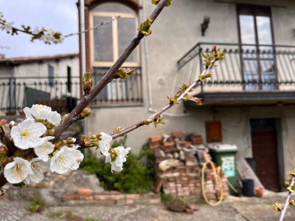 casa indipendente in vendita ad Alta Val Tidone in zona Genepreto