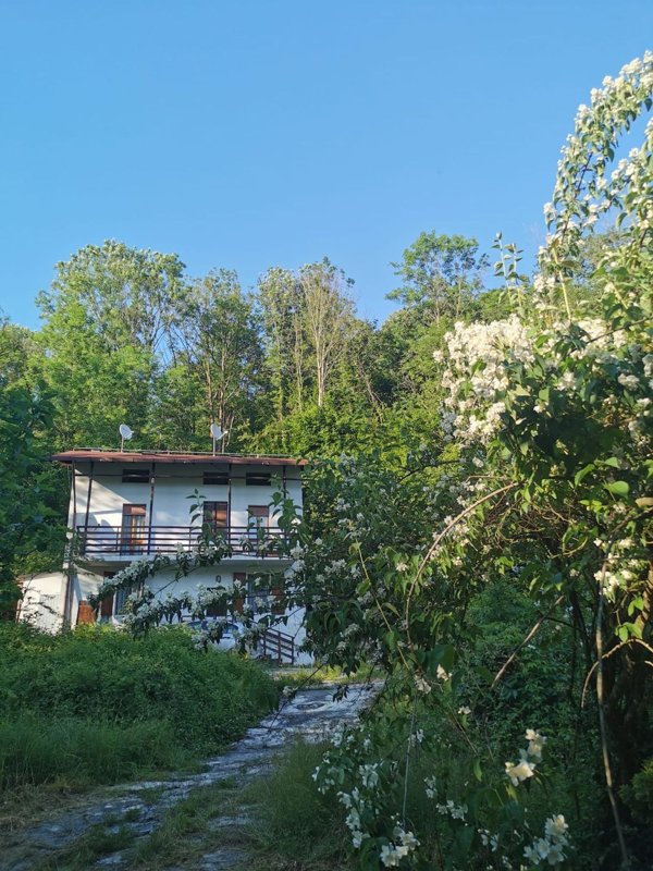 casa indipendente in vendita a Guardabosone