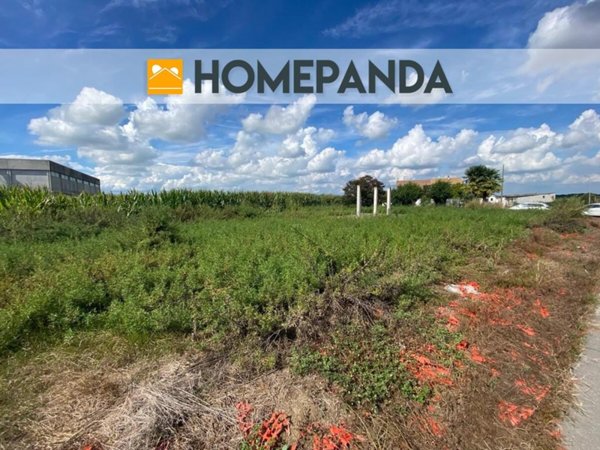 casa indipendente in vendita ad Oldenico