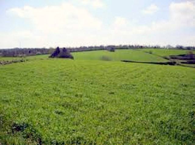 terreno agricolo in vendita a Pezzana
