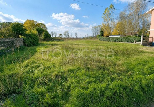 terreno agricolo in vendita a Pezzana