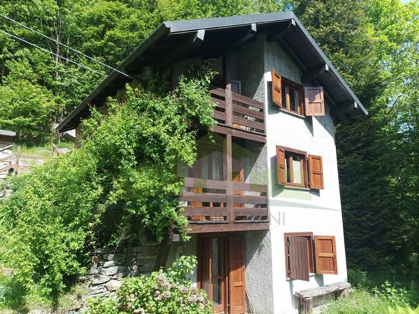 immagine annuncio 0 di 12