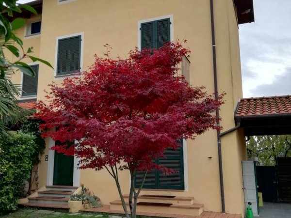 casa indipendente in vendita a Roasio in zona San Giorgio