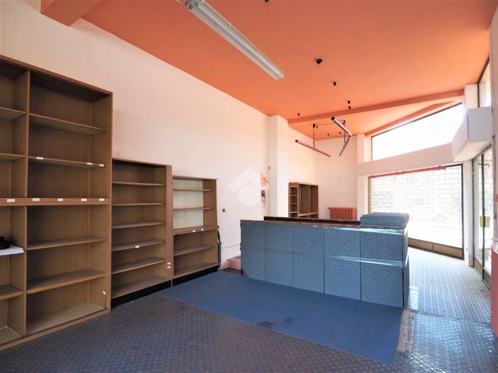 immagine annuncio 0 di 15