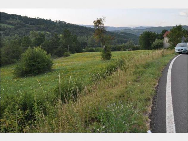 terreno agricolo in vendita ad Albareto in zona Le Moie