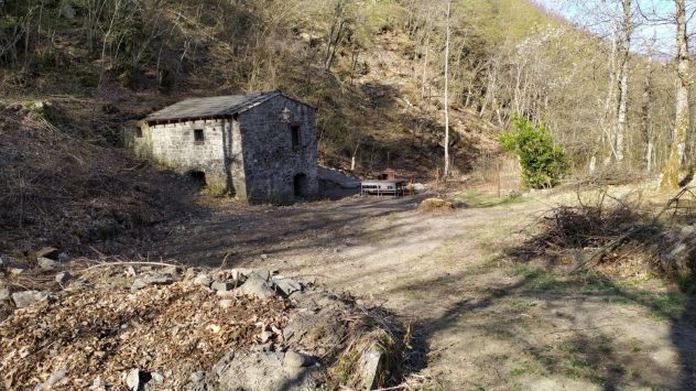 terreno agricolo in vendita ad Albareto