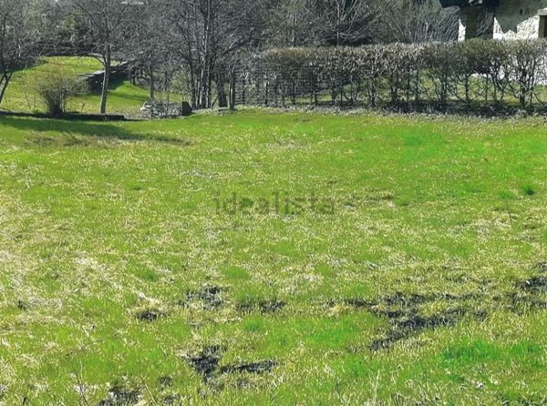 terreno edificabile in vendita ad Albareto