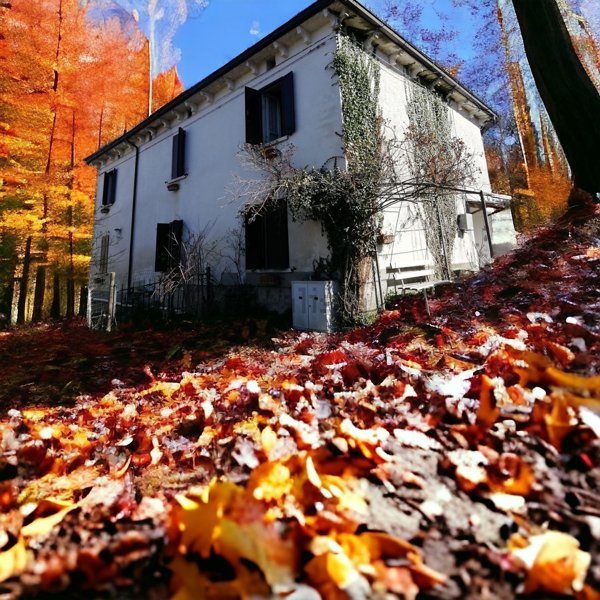 appartamento in vendita ad Albareto