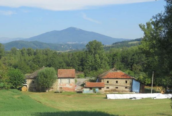 casale in vendita ad Albareto