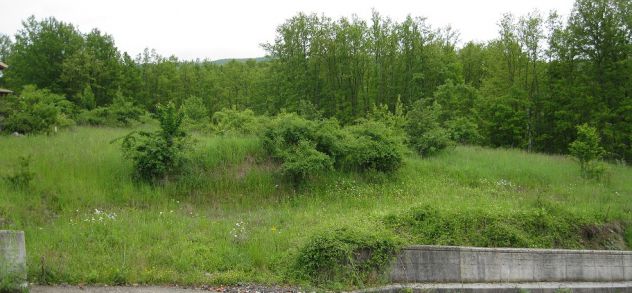 bifamiliare in vendita ad Albareto in zona Gotra