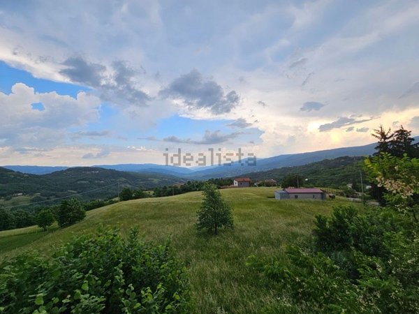casa indipendente in vendita ad Albareto in zona Gotra
