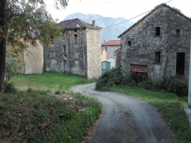 terreno agricolo in vendita a Bardi