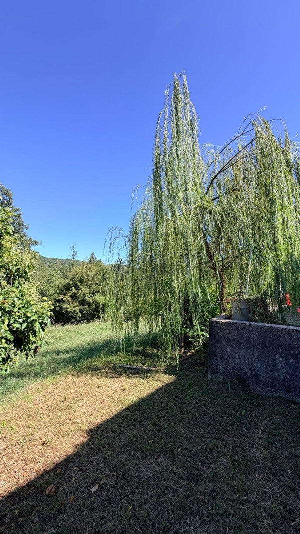 casale in vendita a Bardi in zona Cogno Grezzo