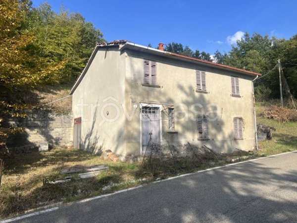 casa indipendente in vendita a Bardi in zona Cogno Grezzo