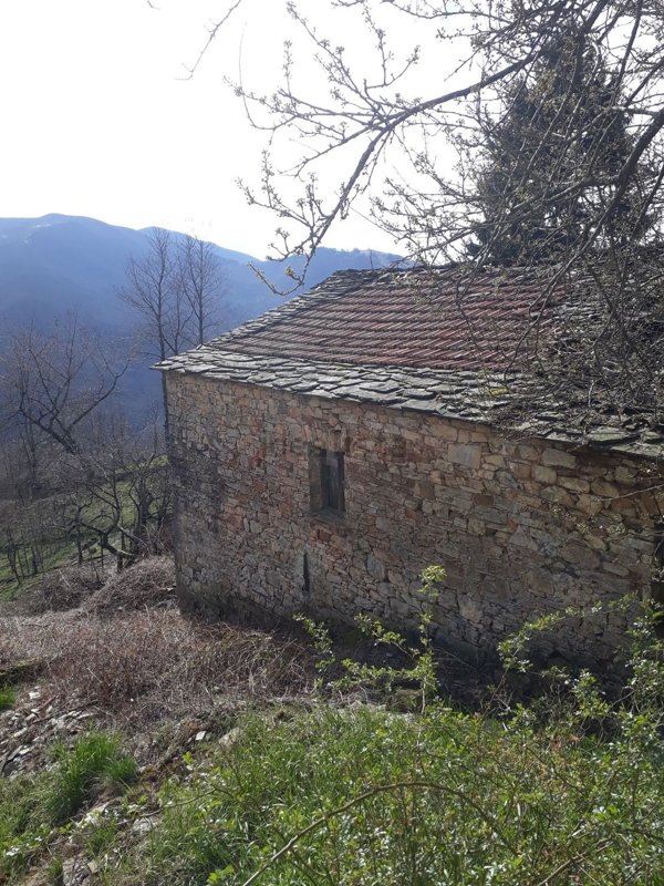 quadrivano in vendita a Bedonia