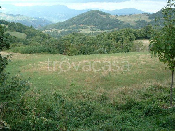 terreno agricolo in vendita a Berceto