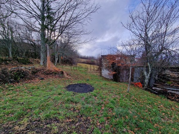 quadrivano in vendita a Berceto