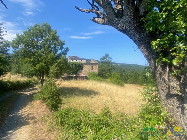 terreno agricolo in vendita a Berceto in zona Castellonchio