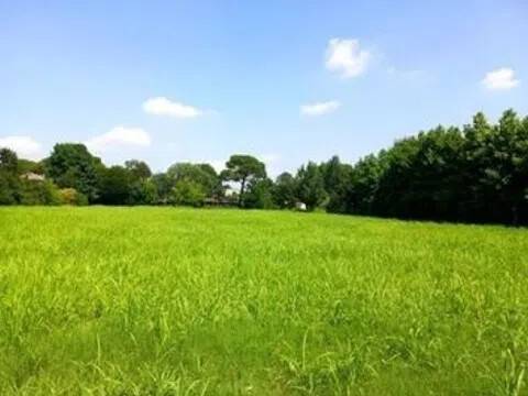terreno agricolo in vendita a Berceto in zona Pagazzano