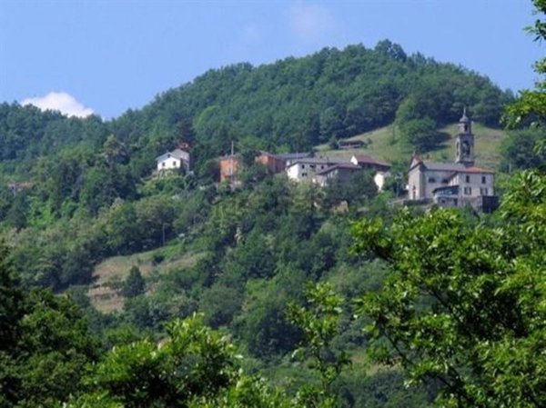 esavano in vendita a Borgo Val di Taro in zona Cafaraccia