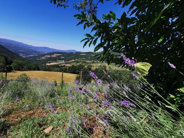 appartamento in vendita a Borgo Val di Taro in zona San Pietro