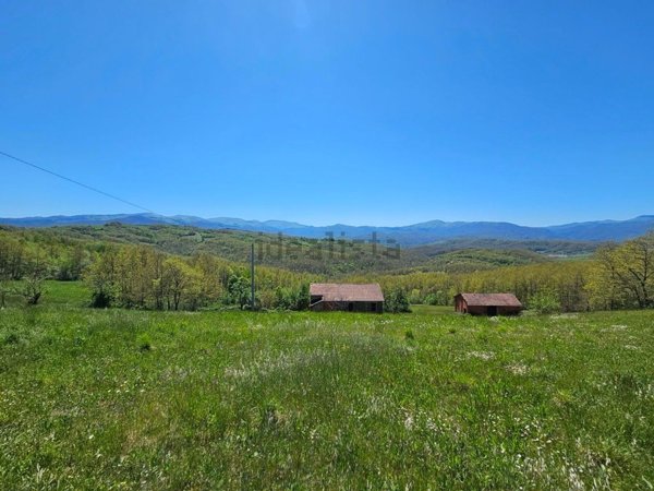 esavano in vendita a Borgo Val di Taro