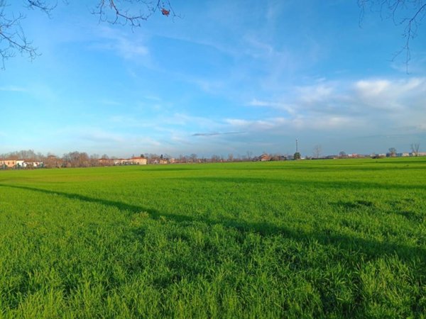 terreno agricolo in vendita a Busseto