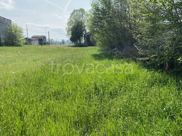terreno agricolo in vendita a Busseto