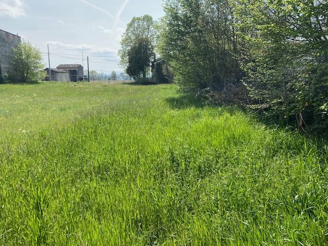 terreno agricolo in vendita a Busseto