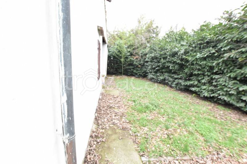casa indipendente in vendita a Busseto