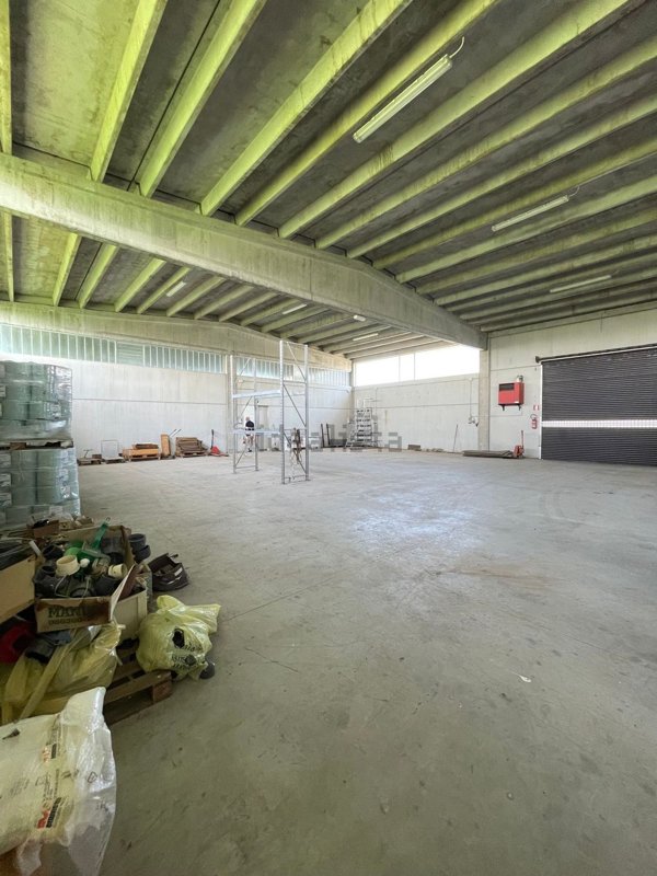 terreno edificabile in vendita a Busseto