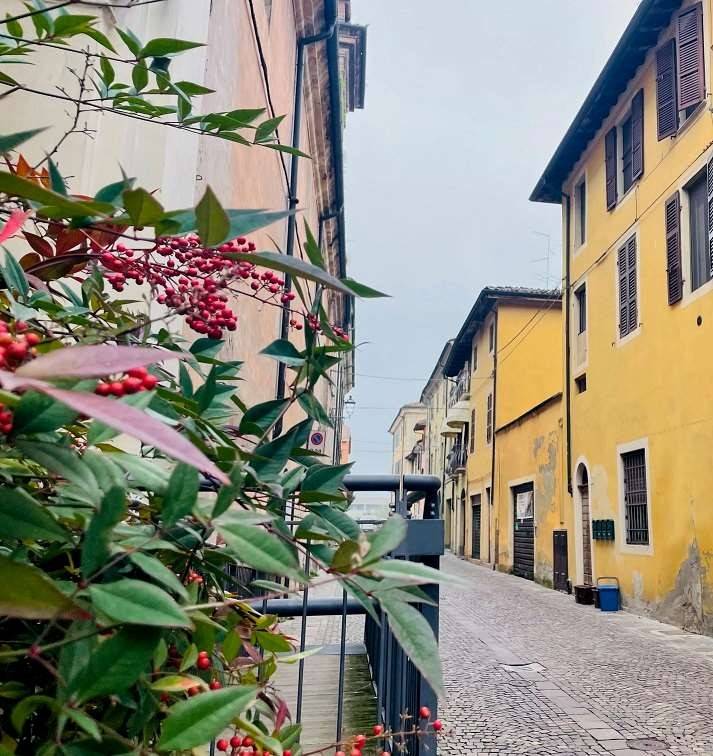 appartamento in vendita a Busseto